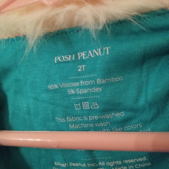 Posh Peanut Toddler Girls Dress - 2T - NWT - Picture 3 of 5